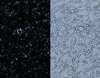 Emulsion observation with different lighting conditions